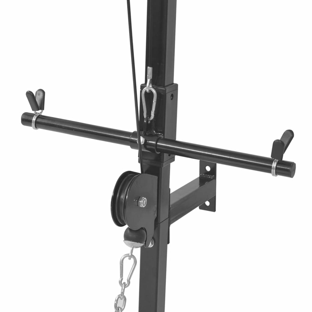 Wall-mounted Home Gym with 2 Pulleys