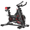 Powertrain IS-500 Heavy-Duty Exercise Spin Bike Electroplated