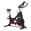 PowerTrain RX-600 Exercise Spin Bike Cardio Cycle