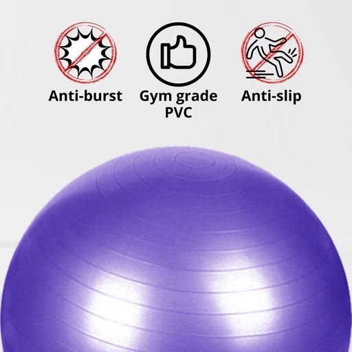 Yoga Ball Home Exercise Gym Pilates Fitness Swiss Ball 65cm (Black)