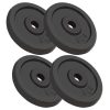 Weight Plates Cast Iron – 4×5 kg
