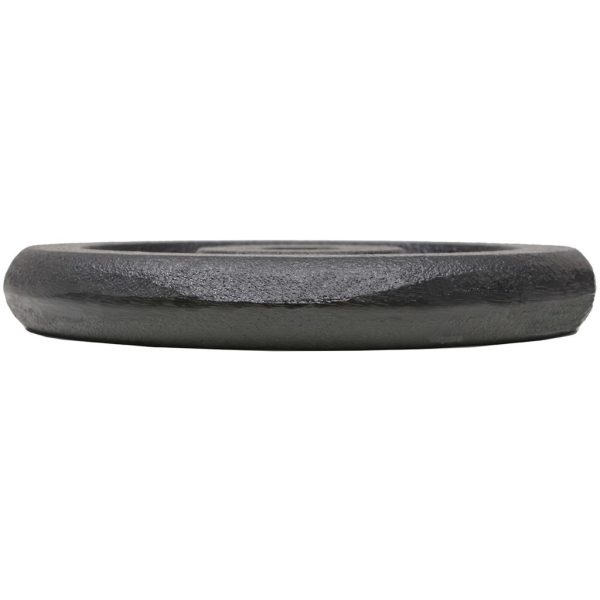Weight Plates Cast Iron – 4×5 kg