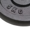 Weight Plates Cast Iron – 4×5 kg