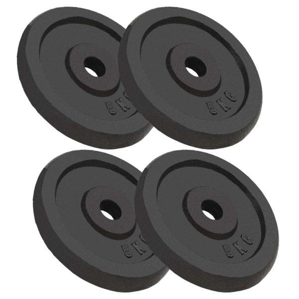 Weight Plates Cast Iron – 4×5 kg