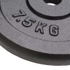 Weight Plates Cast Iron – 4×7.5 kg