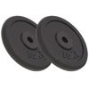 Weight Plates Cast Iron – 2×10 kg