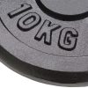Weight Plates Cast Iron – 2×10 kg