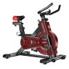 Powertrain IS-500 Heavy-Duty Exercise Spin Bike Electroplated – Black