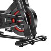 Powertrain IS-500 Heavy-Duty Exercise Spin Bike Electroplated – Black