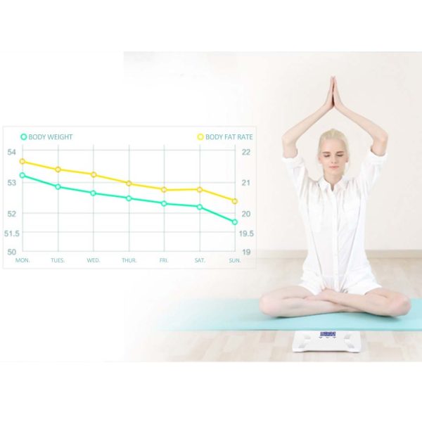 2X Digital Body Fat Scale Bathroom Scale Weight Gym Glass Water LCD – Blue and Purple