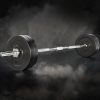 Barbell Weight Set Plates Bar Bench Press Fitness Exercise Home Gym 168cm – 28 kg