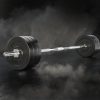 Barbell Weight Set Plates Bar Bench Press Fitness Exercise Home Gym 168cm – 68 kg