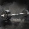Barbell Weight Set Plates Bar Bench Press Fitness Exercise Home Gym 168cm – 78 kg