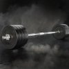 Barbell Weight Set Plates Bar Bench Press Fitness Exercise Home Gym 168cm – 88 kg