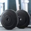 Barbell Weight Plates Standard Home Gym Press Fitness Exercise 2pcs – 20 KG
