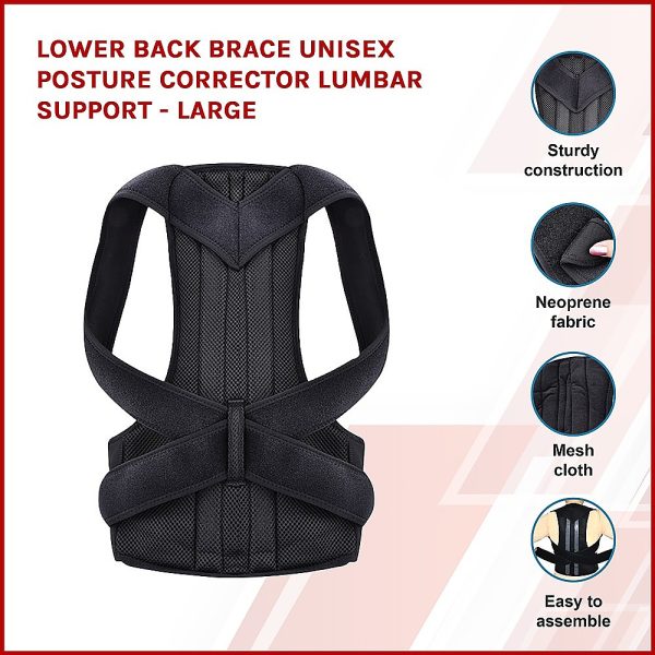 Lower Back Brace Unisex Posture Corrector Lumbar Support – Large