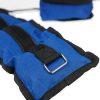 Powertrain 2 Lead-Free Ankle Weights – 1 KG