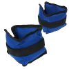 Powertrain 2 Lead-Free Ankle Weights – 1 KG