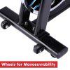 PowerTrain RX-600 Exercise Spin Bike Cardio Cycle – Blue