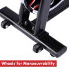 PowerTrain RX-600 Exercise Spin Bike Cardio Cycle – Red