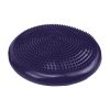 Powertrain Yoga Stability Disc Home Gym Pilates Balance Trainer – Purple