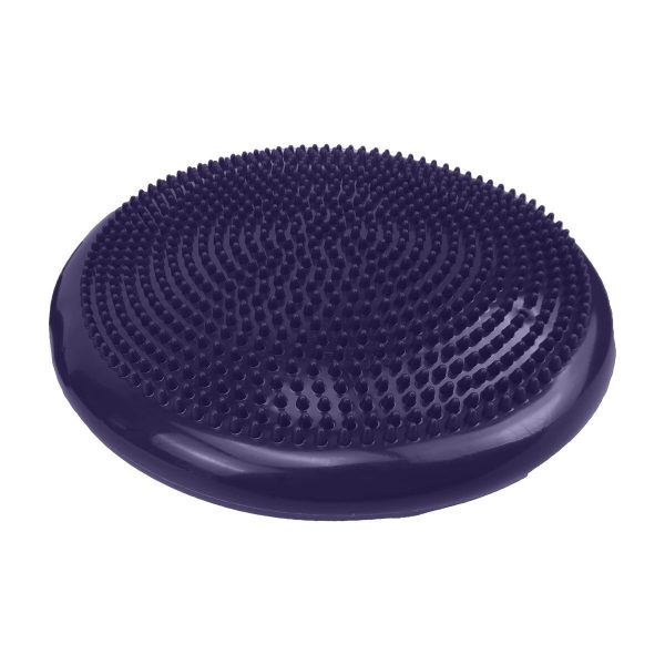 Powertrain Yoga Stability Disc Home Gym Pilates Balance Trainer – Purple