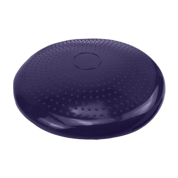 Powertrain Yoga Stability Disc Home Gym Pilates Balance Trainer – Purple